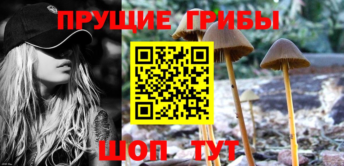 Набережные Челны  Галлюциногенные грибы MAGIC MUSHROOMS  Вход с VPN 